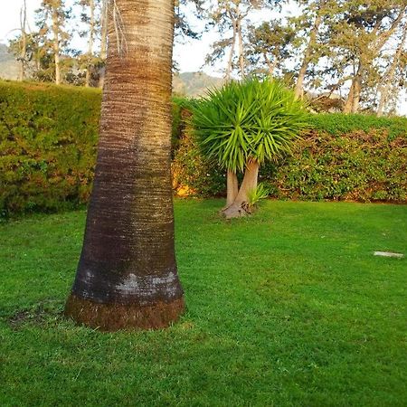 Villa Sotiroulla Kato Yialia Exteriér fotografie