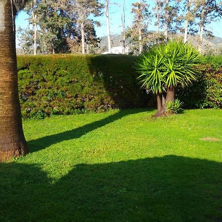 Villa Sotiroulla Kato Yialia Exteriér fotografie