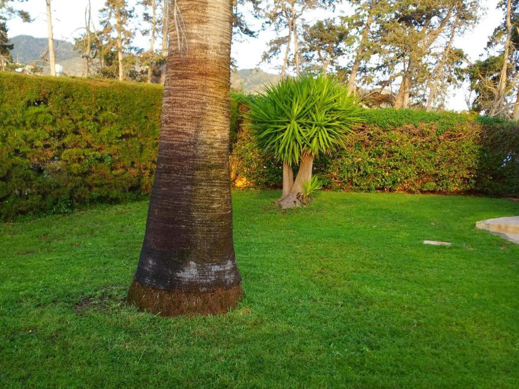 Villa Sotiroulla Kato Yialia Exteriér fotografie