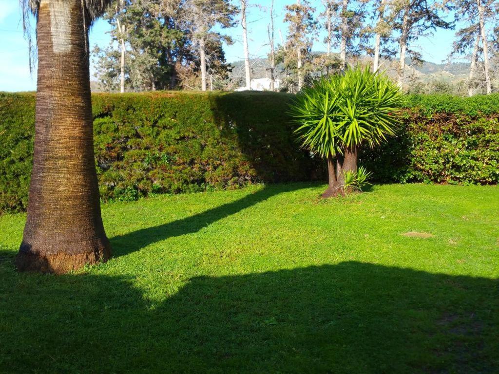Villa Sotiroulla Kato Yialia Exteriér fotografie